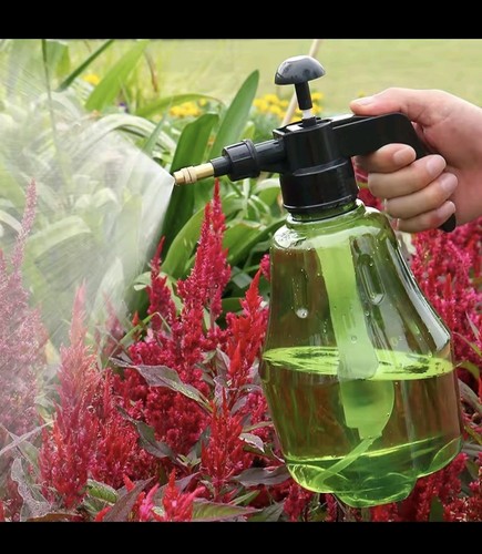 Green sprayer flowers - sprayer, garden